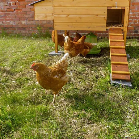 Milecastle At Hadrians *